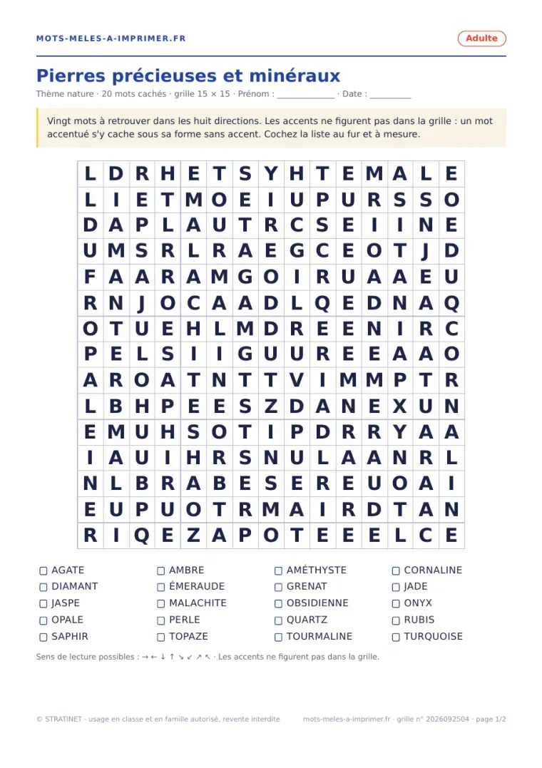 Rendu réel de la page 1 du PDF : la grille Pierres précieuses et minéraux à remplir