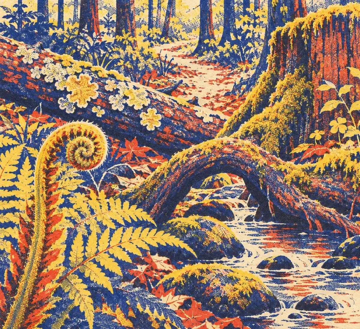 Une fougère, une souche couverte de lichen et un ruisseau serpentant entre des arbres, en aplats de bleu encre, rouge tomate et jaune surligneur sur fond papier crème