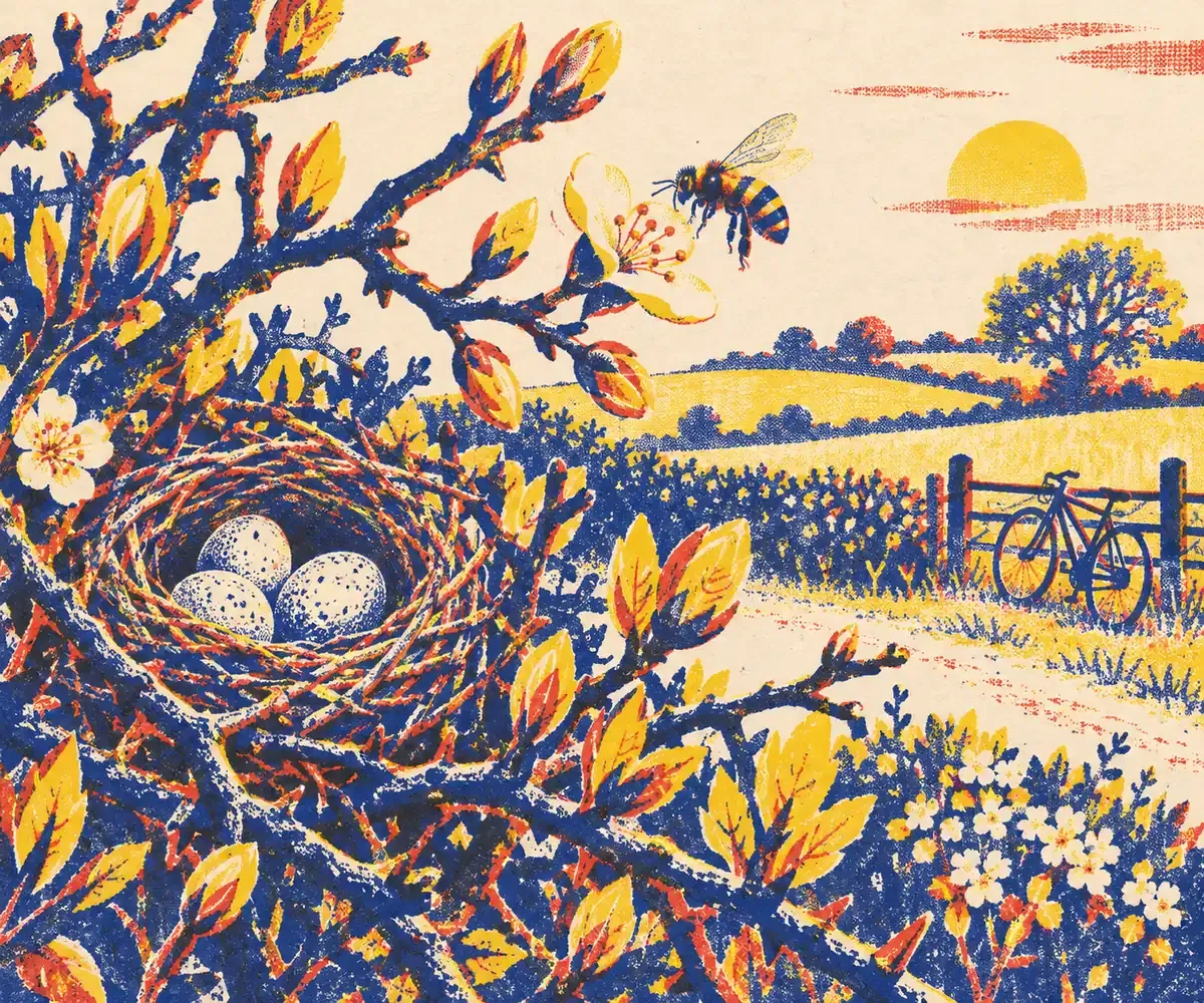 Nid, hirondelle et branche en fleurs esquissés en aplats risographiés bleu, rouge et jaune sur fond crème.